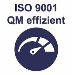 ISO 9001 Training effizientes Qualitätsmanagement
