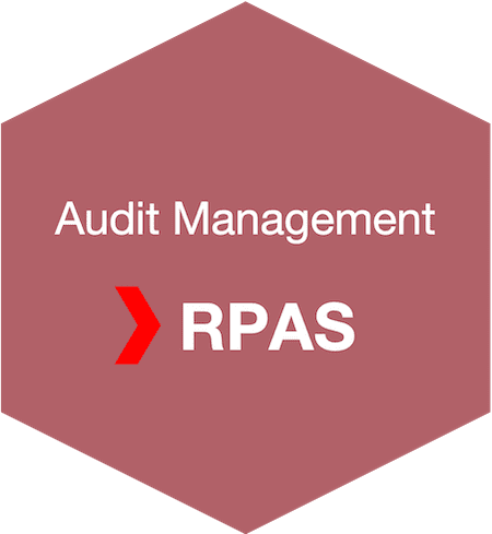 Audit Management Software RPAS